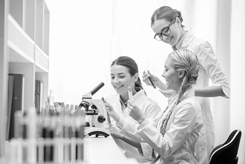 25.09.2025 From Science to School: „Neue Schneckenarten mithilfe von DNA-Barcoding identifizieren“